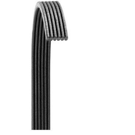 Dayco Poly Ribbed Serpentine Belt D35-5060480