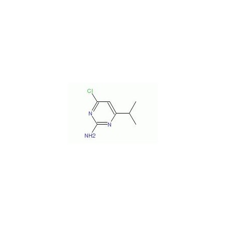 Ak Scientific 4-Chloro-6-isopropylpyrimidin-2-amine (5g), CAS 73576-33-7 W8165-5g