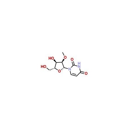 Ak Scientific 2'-O-Methyluridine (25g), CAS 2140-76-3 E392-25g