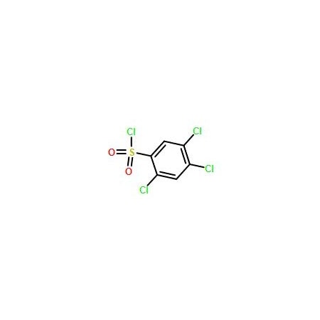 Ak Scientific 2, 4, 5-Trichlorobenzenesulfonyl chloride (1g), CAS 15945-07-0 S882-1g