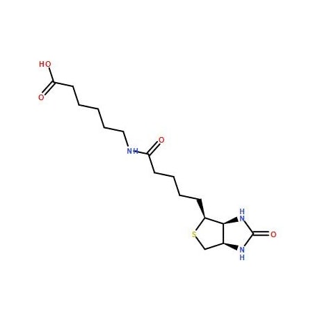 Ak Scientific N-(+)-Biotinyl-6-aminohexanoic acid (25g), CAS 72040-64-3 1178AC-25g