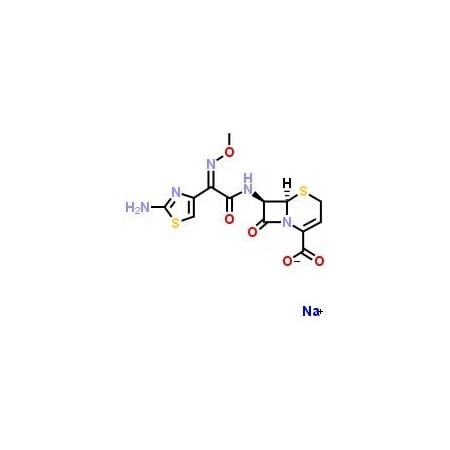 Ak Scientific Ceftizoxime sodium (250mg), CAS 68401-82-1 H711-250mg