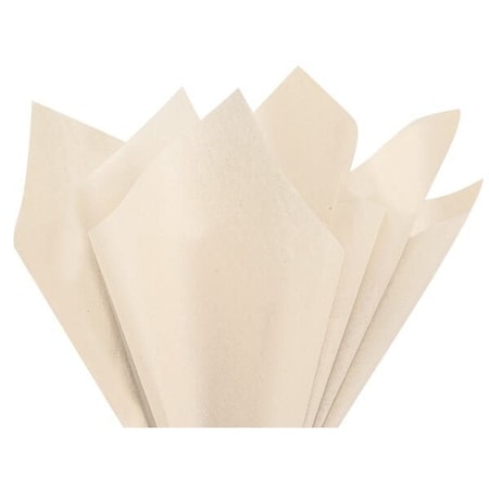 Nashville Wraps Dune Beige Color Tissue Paper, 20x30, 480PK CTFDN