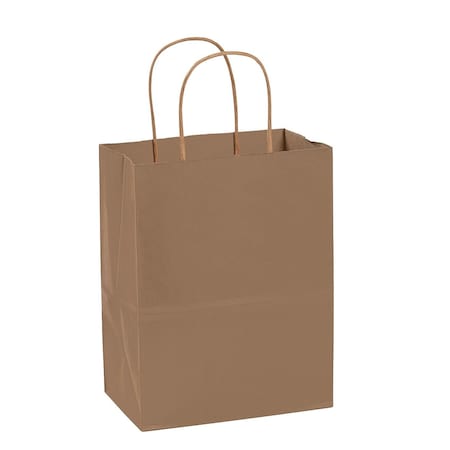 Store Supply Warehouse Medium (Cub) - Kraft Paper Shopping Bags, 250PK 92107