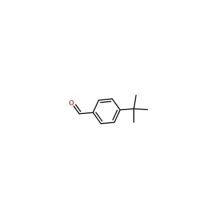 Ak Scientific 4-tert-Butylbenzaldehyde (25g), CAS 939-97-9 O223-25g