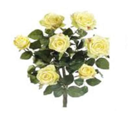 Allstate 21.5 in. Yellow Confetti Rose Bush X7-, 6PK FBR054-YE