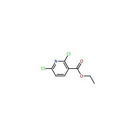 Ak Scientific Ethyl 2, 6-dichloronicotinate (5g), CAS 58584-86-4 8692AB-5g