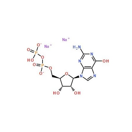 Ak Scientific Guanosine-5'-diphosphate disodium salt (250mg), CAS 7415-69-2 Z6067-250mg
