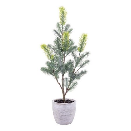 Dare2Decor 19 in. Blue Spruce Sapling Potted DA3252340