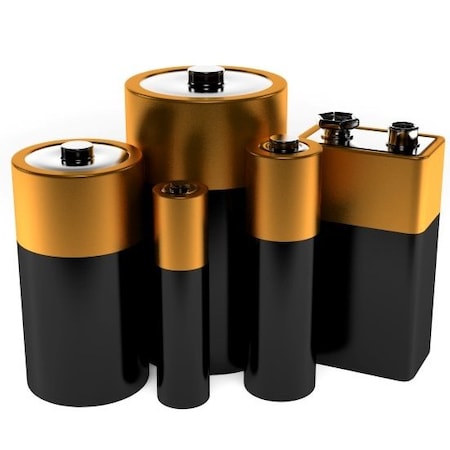 Rpi Alkaline Battery, D Cell, 1.5 Volt, 2 per Package, 2PK 700204