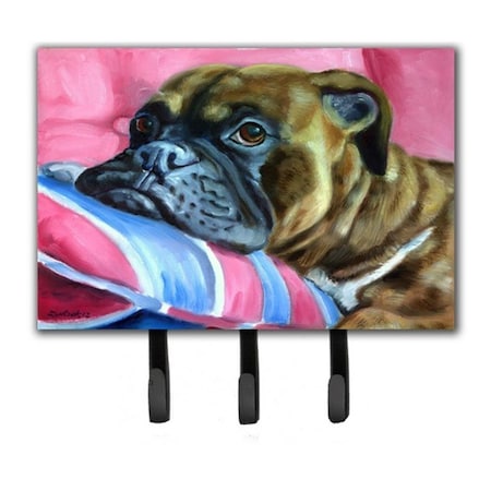 Carolines Treasures Fawn Boxer Leash and Key Holder 7347TH68