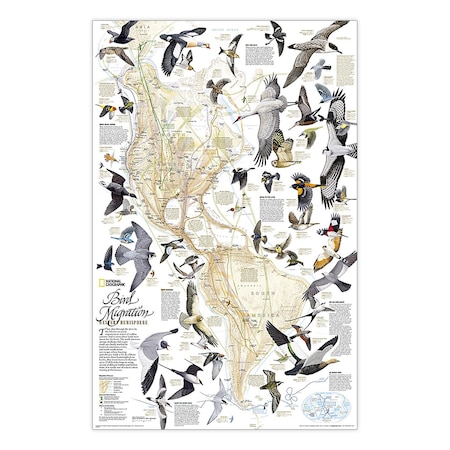 National Geographic Bird Migration, Western Hemisphere Map, Laminated, 20.25'' x 31.25'' RE01020306