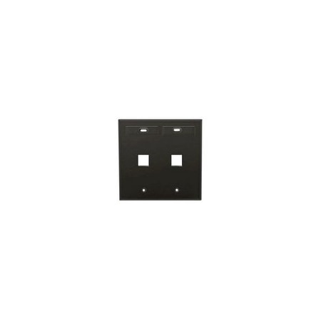 Leviton Wallplates and Accessories 42080-2EP