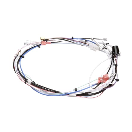 Bunn WIRING HARN, MAIN 120V 1L/2U 29072.0016