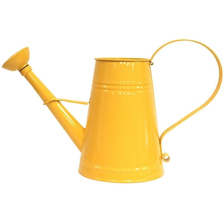 Superherostuff 1 gal Enameled Galvanized Steel Watering Can with Removable Rosette, Saffron PA2994576