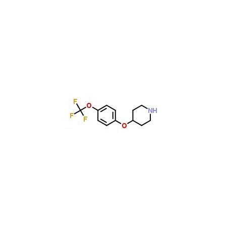 Ak Scientific 4-(4-Trifluoromethoxyphenoxy)piperidine (5g), CAS 287952-67-4 H315-5g