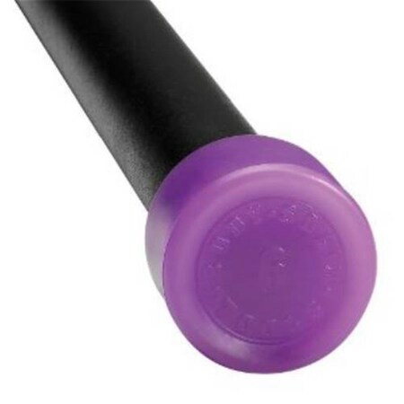 Body-Solid 6 lbs. Light Purple Padded Weighted Bar BSTFB6