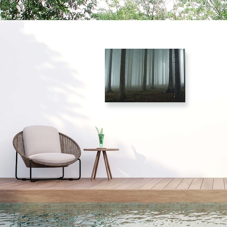 Trademark Fine Art Outdoor Canvas Art David Charouz 'Foggy forest' Wall Art for Patios, or Gardens 1X31963-OC1219WR