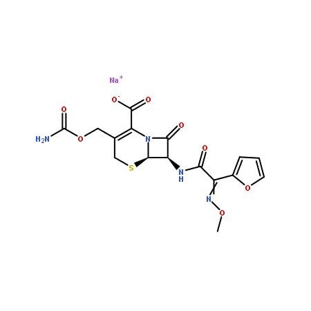 Ak Scientific Cefuroxime sodium (1g), CAS 56238-63-2 C718-1g