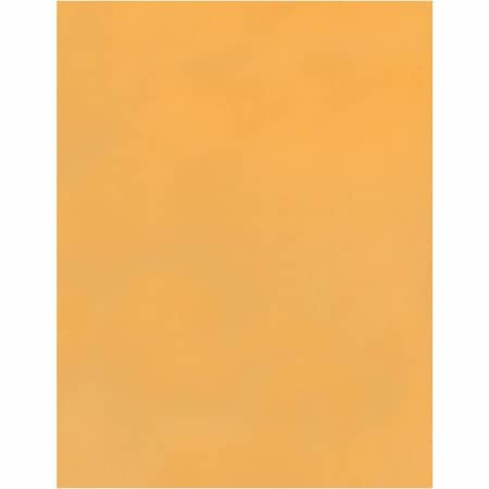 Quality Park Catalog Envelope, Light Brown, Kraft, PK100 QUA37910