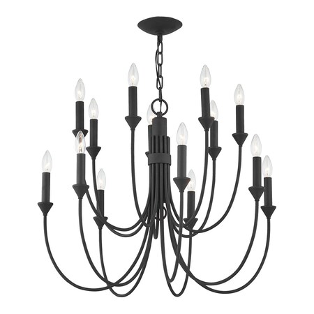 Troy Lighting Cate 14 Light Chandelier 30 In. Forged Iron F1014-FOR