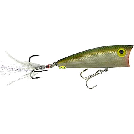 Rebel 3 in. Pop-R Magnum 0.5 oz, Tennessee Shad P6548