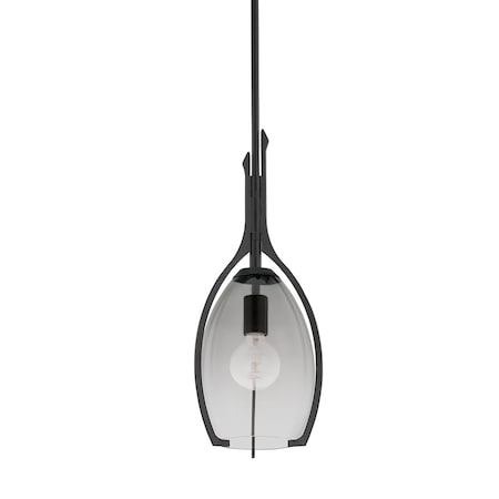 Troy Lighting Pacifica 1 Light Pendant 9 In. Forged Iron F8309-FOR