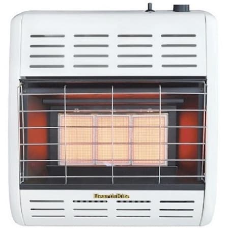 Empire Radiant Vent 18000 BTU Natural Gas Heater with Manual Control ...