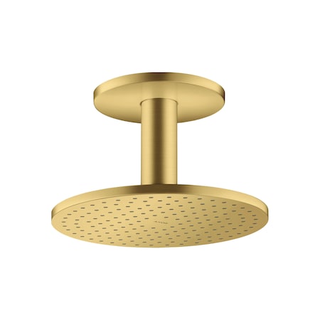 Axor ShowerSolutions Showerhead 250 2-Jet Ceiling Connection, 1.75 GPM in Brushed Gold Optic 35365251