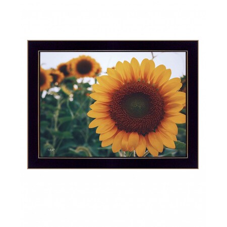 Homeroots Midwest Livin II 1 Black Framed Print Wall Art 416212