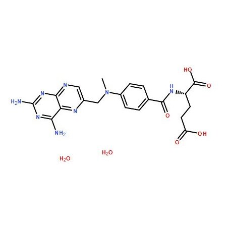 Ak Scientific Methotrexate hydrate (1g), CAS 133073-73-1 2504AH-1g