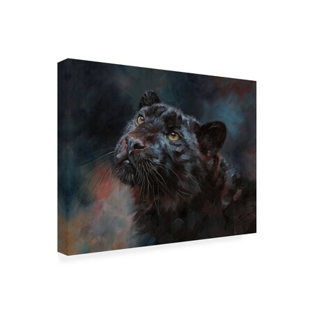 Trademark Fine Art Outdoor Canvas Art - David Stribbling 'Black Panther 3' Wall Art for Patios, or Gardens GRL00365-OC3547WR