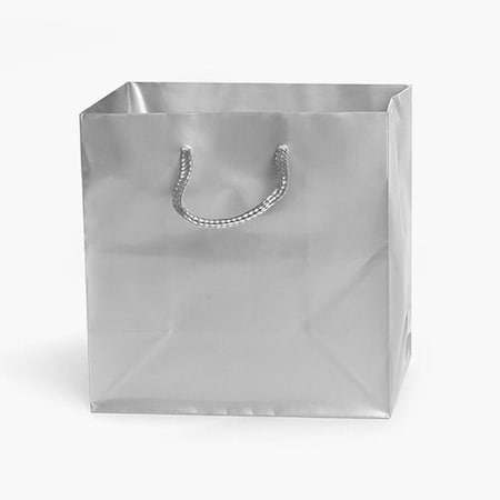 Nashville Wraps Silver Gloss Gift Bags, Jewel 6.5x3.5x6.5, 100PK GTJBSI