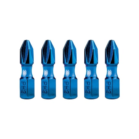 Spyder 5-Piece 1/4-in x 1-in PH2 19084