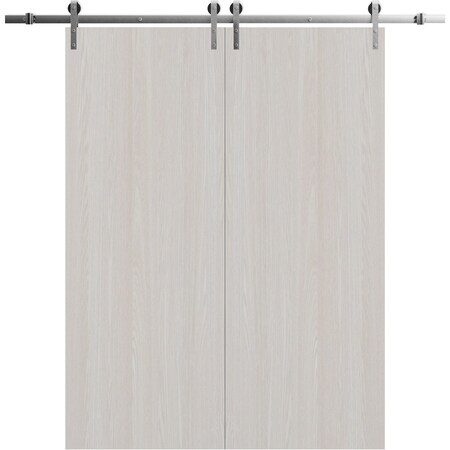 Sartodoors Modern Double Barn Door 56 x 96 inches, BASIC 3001 Ash Franko, 13FT Silver Rail Track Set, Solid BASIC3001DB-S-YAFR-5696