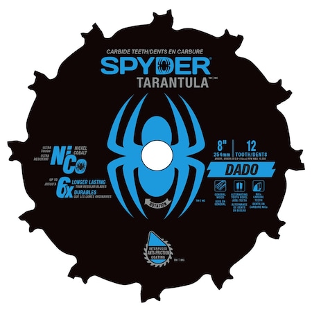 Spyder 8in DADO Set 13024