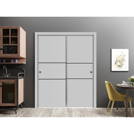 Sartodoors Sliding Closet Bypass Doors, Planum 0014 Matte Grey and Aluminum Strips, Sturdy Rails Moldings Trim PLANUM0014DBD-GRE-5696
