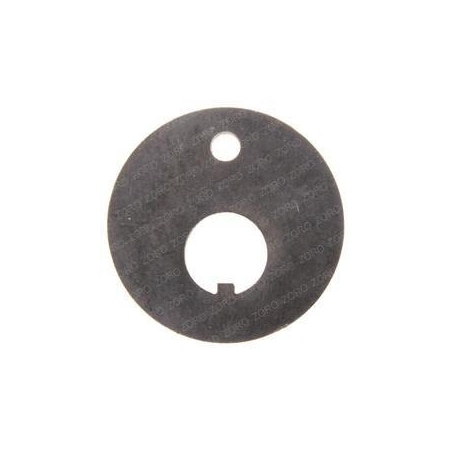 Cushman REPLACEMENT WASHER, ECCENTRIC 830477