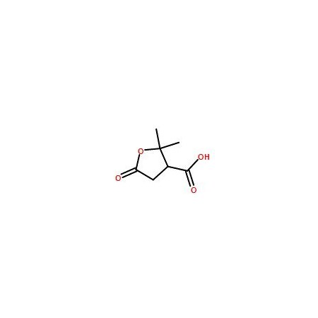 Ak Scientific Terebic acid (250mg), CAS 79-91-4 9021AL-250mg