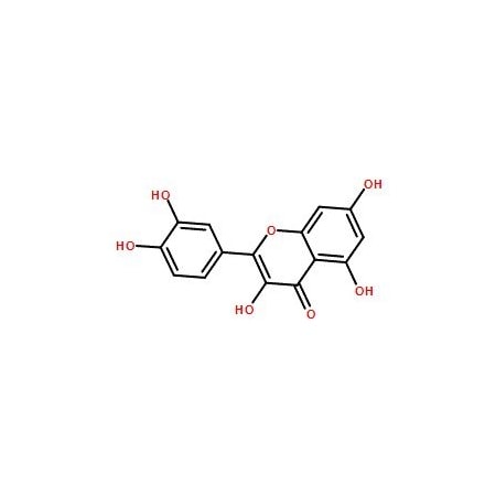Ak Scientific Quercetin (25mg), CAS 117-39-5 S295-25mg