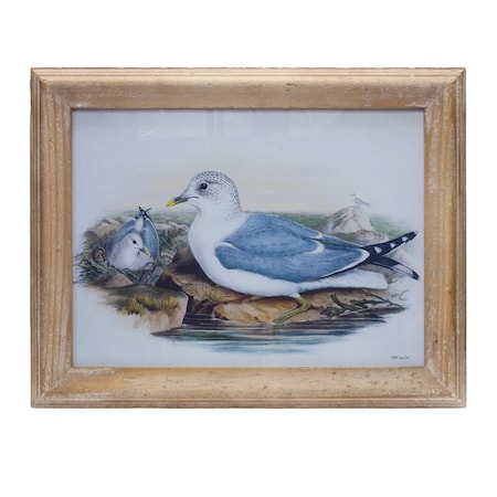 Homeroots 13" X 17" Natural And Blue Bird Solid Wood Framed Art 516382