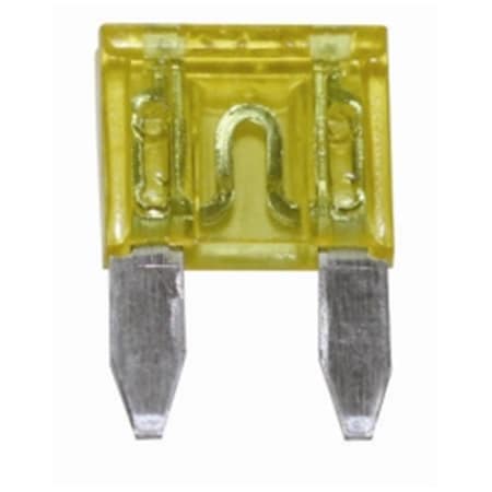 Hi-Tec 30 amp Green Mini Fuse - 2 Piece, 2PK HI781442
