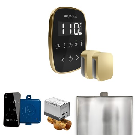 Mr. Steam Max Steam Shower Control Package with TempoFlex Control and Steamhead in Black Satin Brass MSBUTLERXRD-SB