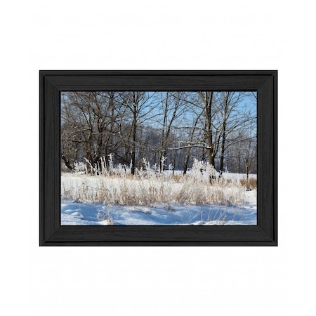 Homeroots Natures Simple Blessings 1 Black Framed Print Wall Art 407460