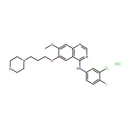 Ak Scientific Gefitinib hydrochloride (25mg), CAS 184475-55-6 X5007-25mg