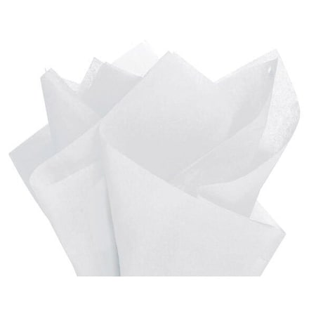 Nashville Wraps Mountain Mist Color Tissue Paper, 20x30, 24 Soft Fold Sheets, 24PK CTQMM