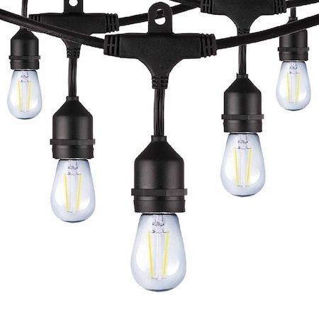 Westgate LED STRING LIGHT 24FT 12SOCKET WITH 14 S14 CLEAR BULBS 1W EA., UL, 1W per bulb, 2700K, Black STG-2412-27K
