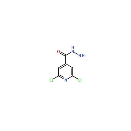 Ak Scientific 2, 6-Dichloroisonicotinohydrazide (250mg), CAS 57803-51-7 5960AE-250mg