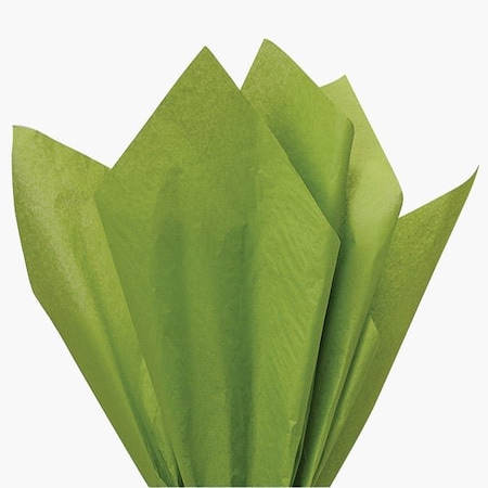 Nashville Wraps Oasis Green Color Tissue Paper, 15x20, 480PK CT1OA