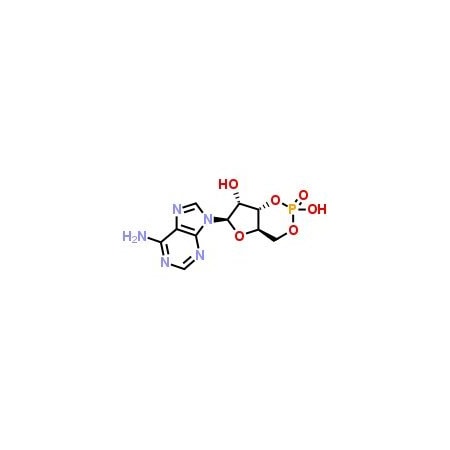 Ak Scientific Adenosine cyclophosphate (25g), CAS 60-92-4 H355-25g